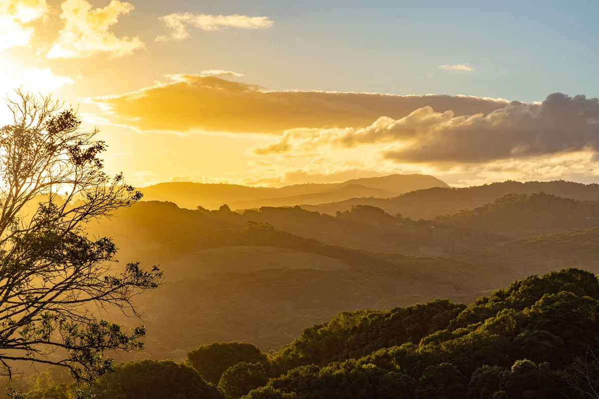 Additional image 4 of 400 Coorabell Road, Coorabell NSW 2479