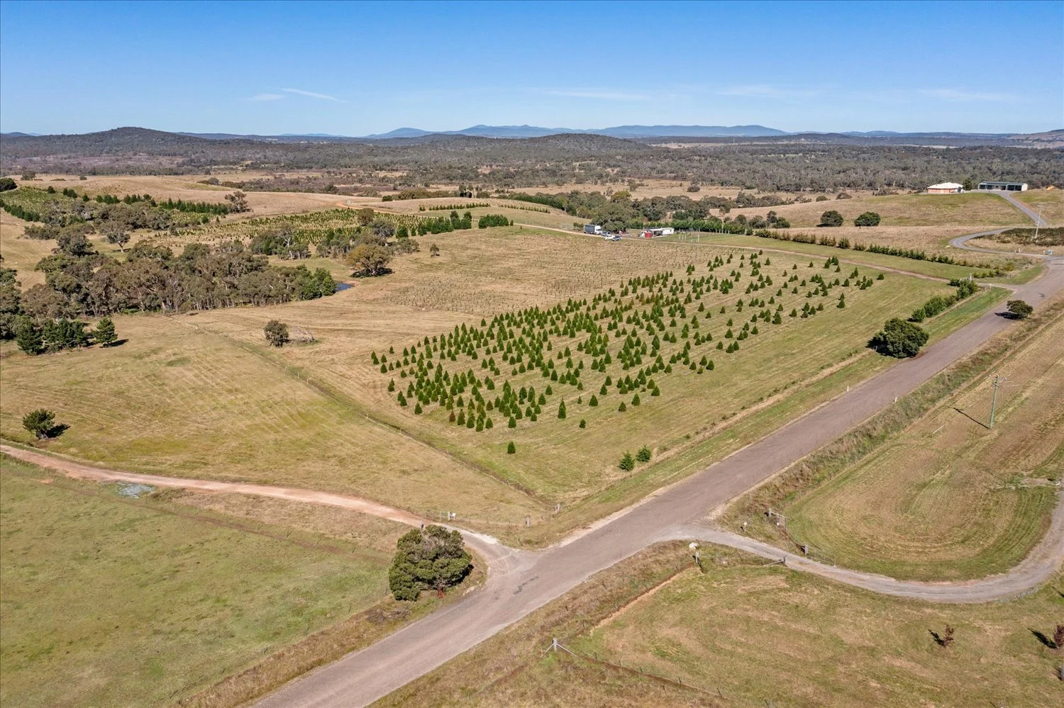Additional image 39 of 134 Lakeview Road, Tarago NSW 2580