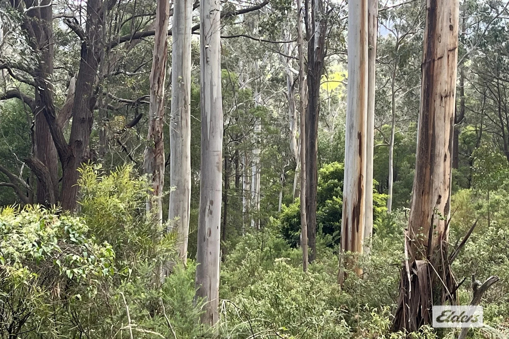 Additional image 3 of 2 Albert River-Welshpool Road, Binginwarri VIC 3966