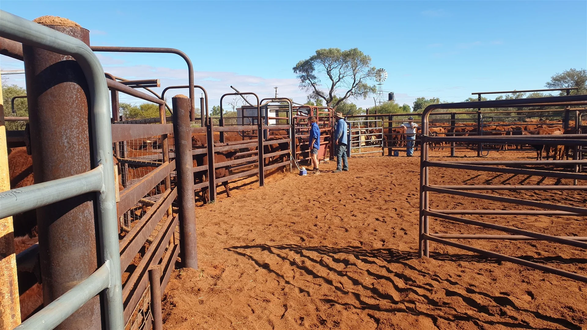 Additional image 14 of Yoothapina Station, Meekatharra WA 6642