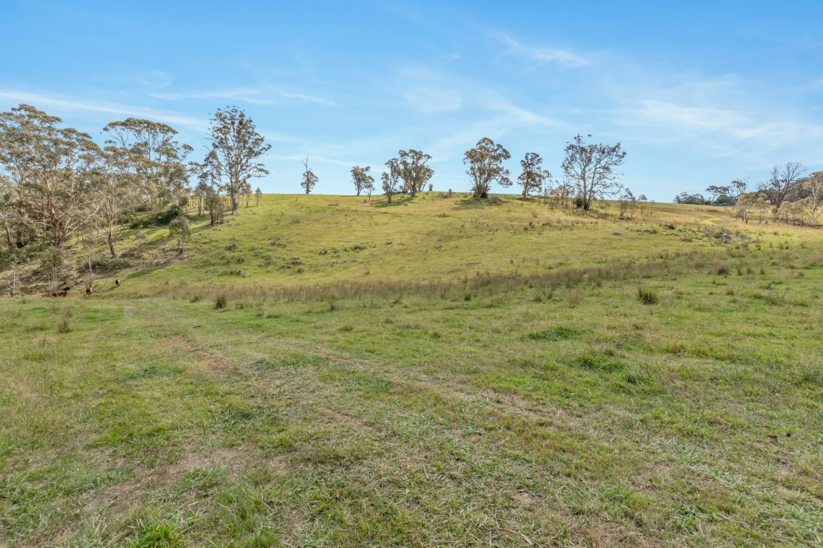 Additional image 13 of Lot 103 Old Bathurst Road, South Bowenfels NSW 2790