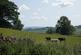 Additional image 10 of Long Preston BD23