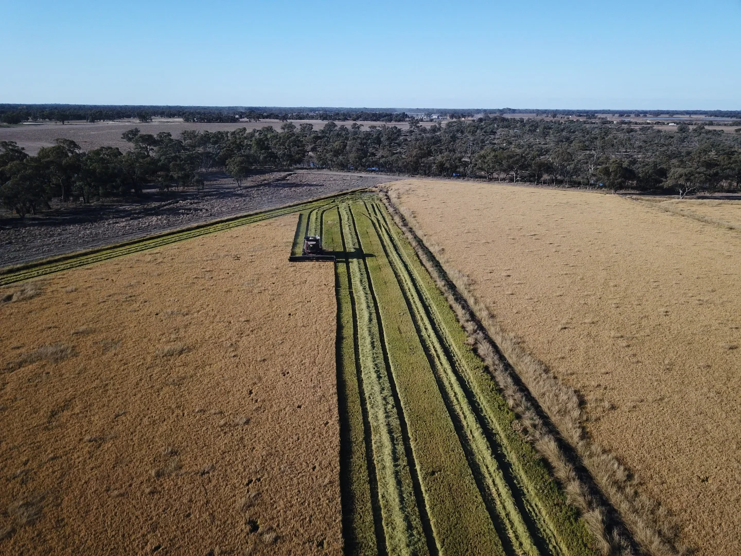 Additional image 9 of 495 Burraboi Road, Barham NSW 2732