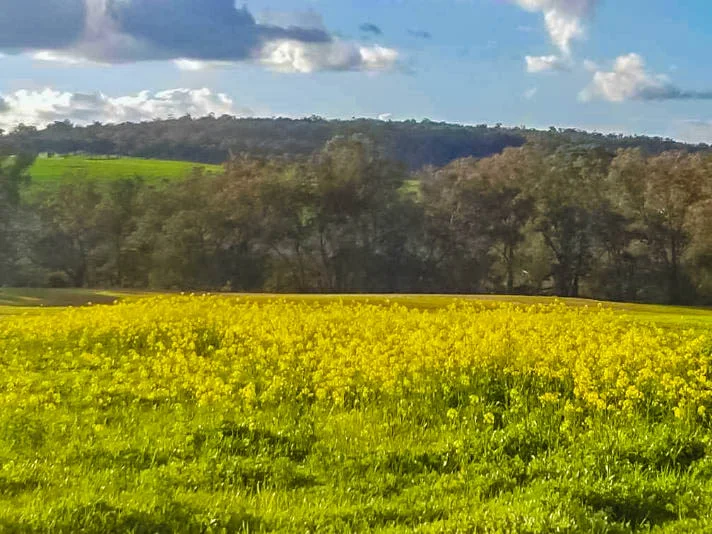 Additional image 43 of 186 Blechynden Road, Dinninup WA 6244