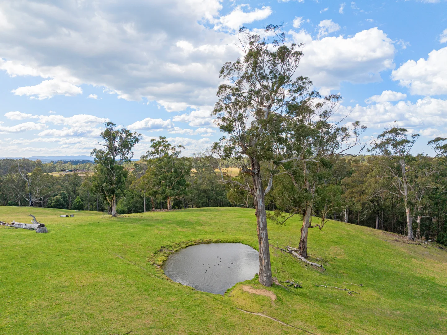 Additional image 16 of 164 Joiners Road, Newmerella VIC 3886