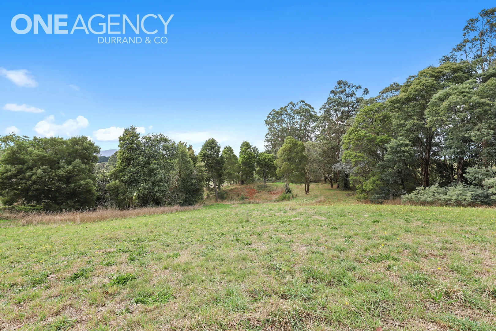 Additional image 30 of 255 Neerim North Road, Neerim North VIC 3832