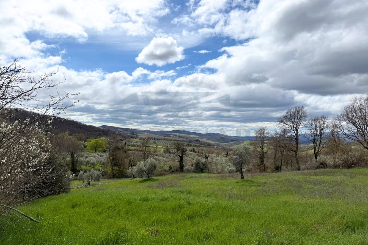 San Casciano dei Bagni (Siena)