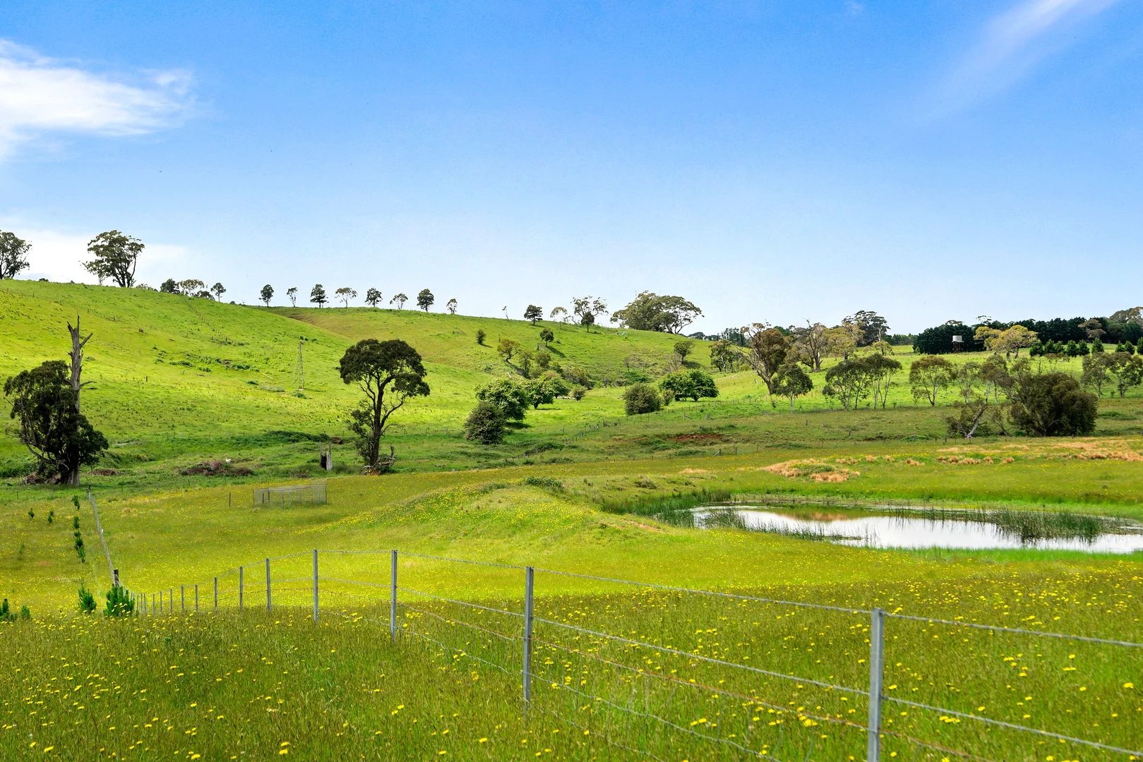 373 Sallys Corner Road, Exeter NSW 2579