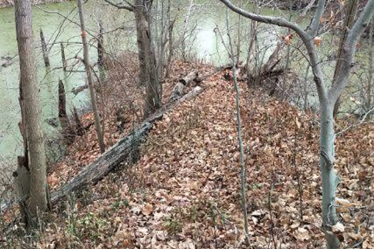 Additional image 5 of 46420 Methodist St. Street