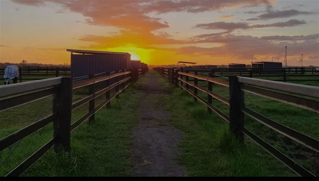 Additional image 15 of 240 SCOTCH CREEK ROAD, Millers Forest NSW 2324