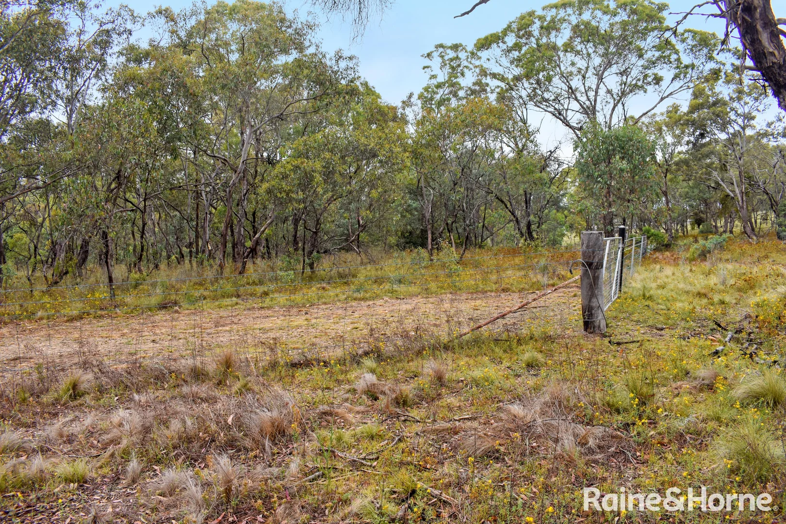 Additional image 16 of Lot 171 & 296 Sofala Road, Wattle Flat NSW 2795