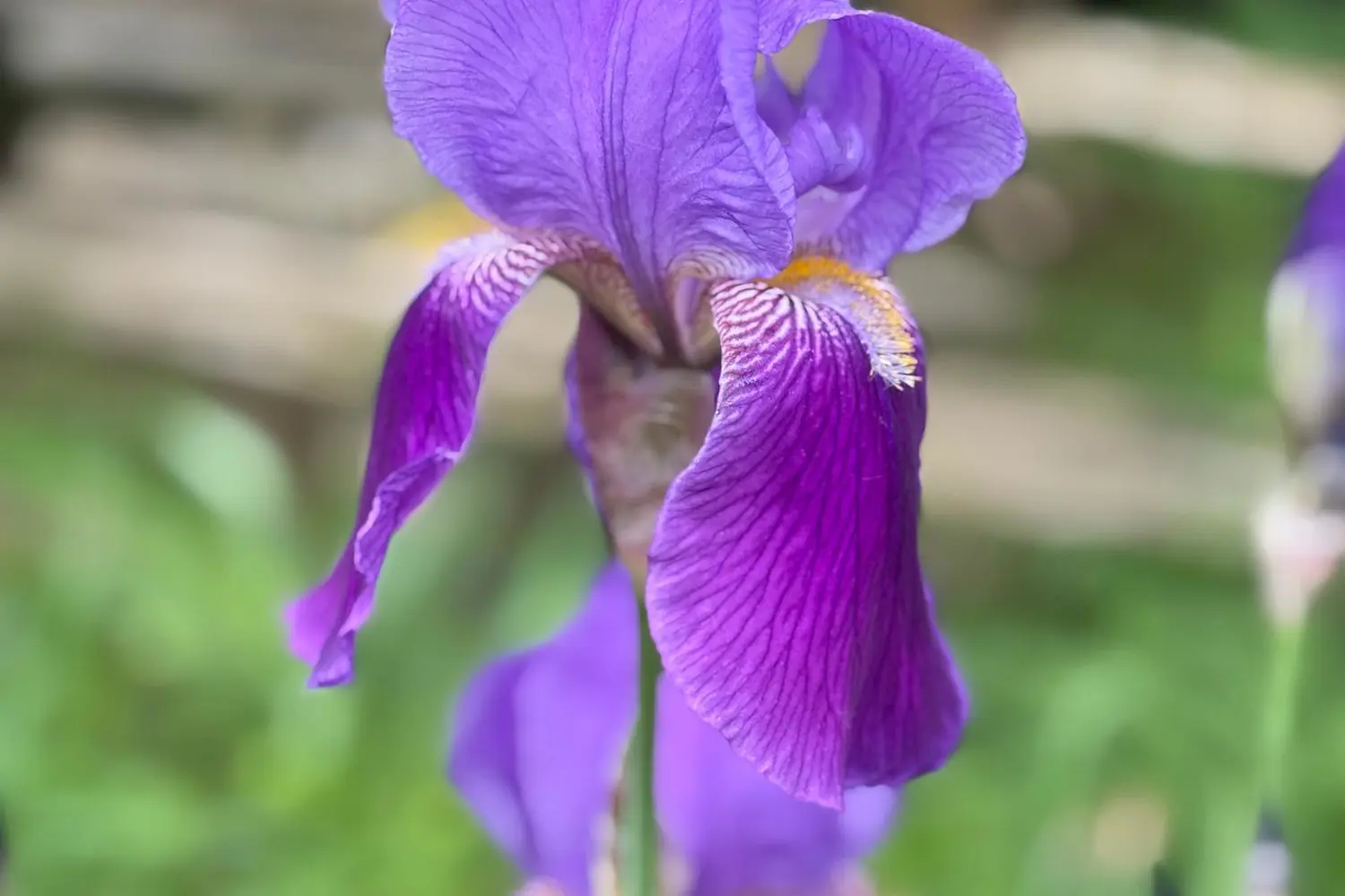 Additional image 14 of 1229 County Road 124