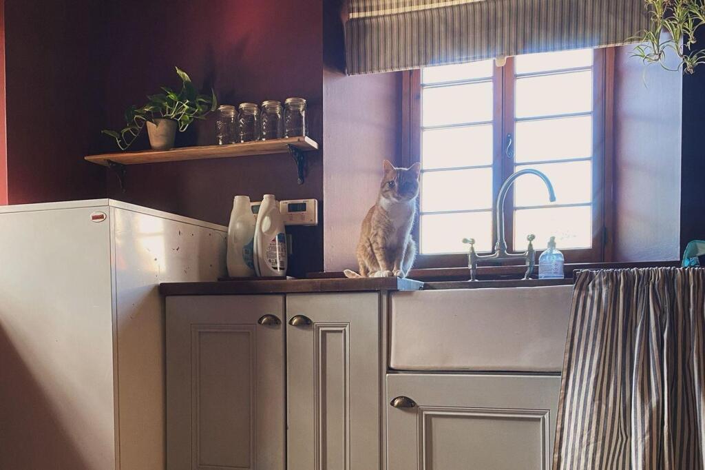 Additional image 11 of Crooksmill, Keith, Banffshire, Moray, AB55 6QQ