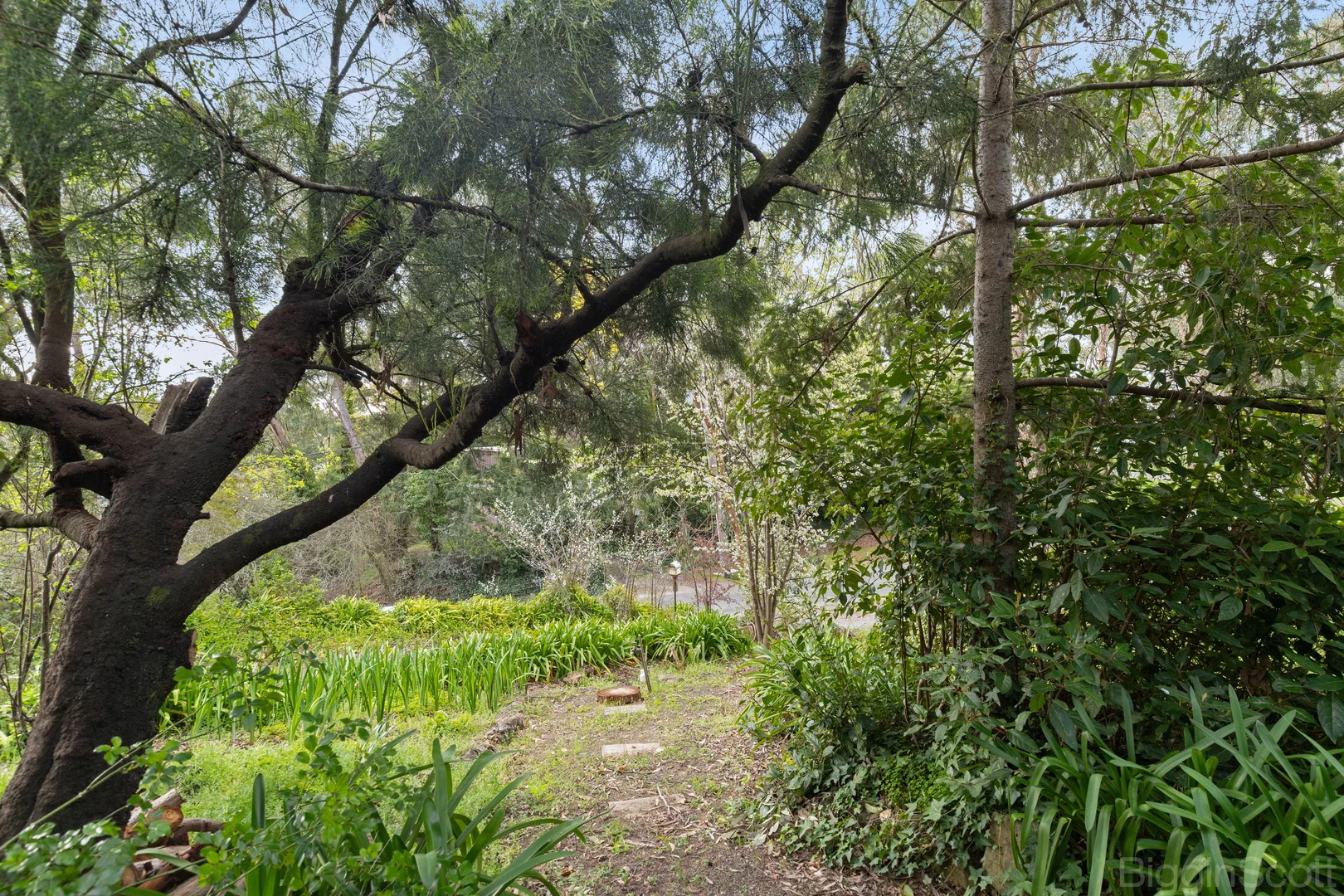 Additional image 12 of 1 Fifth Street, Hepburn Springs VIC 3461