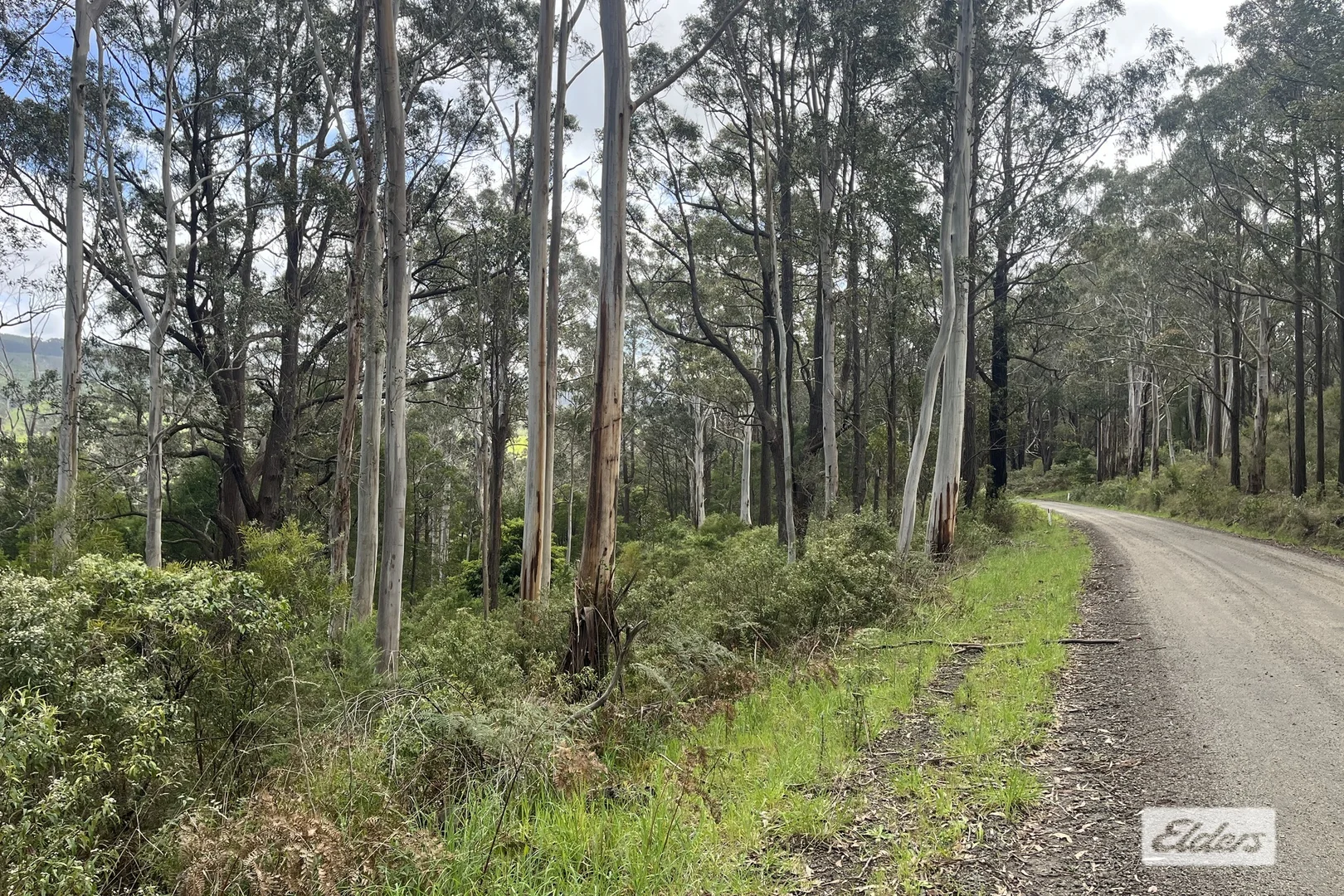 Additional image 2 of 2 Albert River-Welshpool Road, Binginwarri VIC 3966