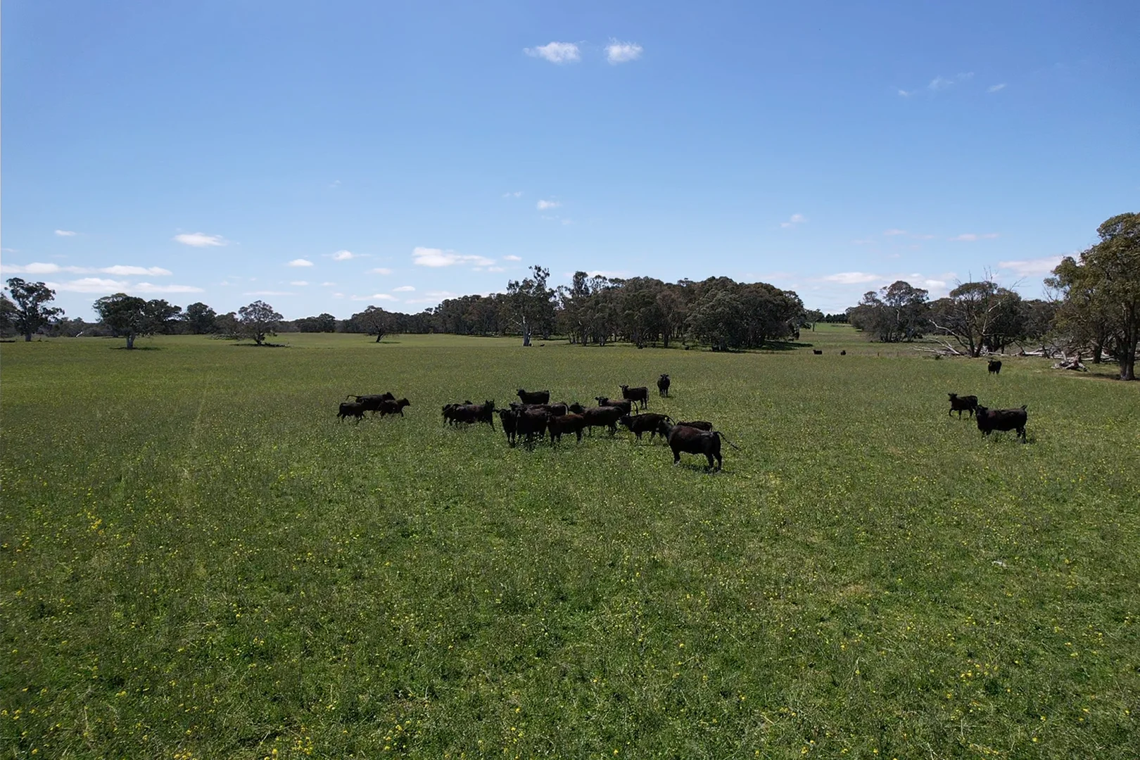 Additional image 35 of Gurrundah Road, Gunning NSW 2581