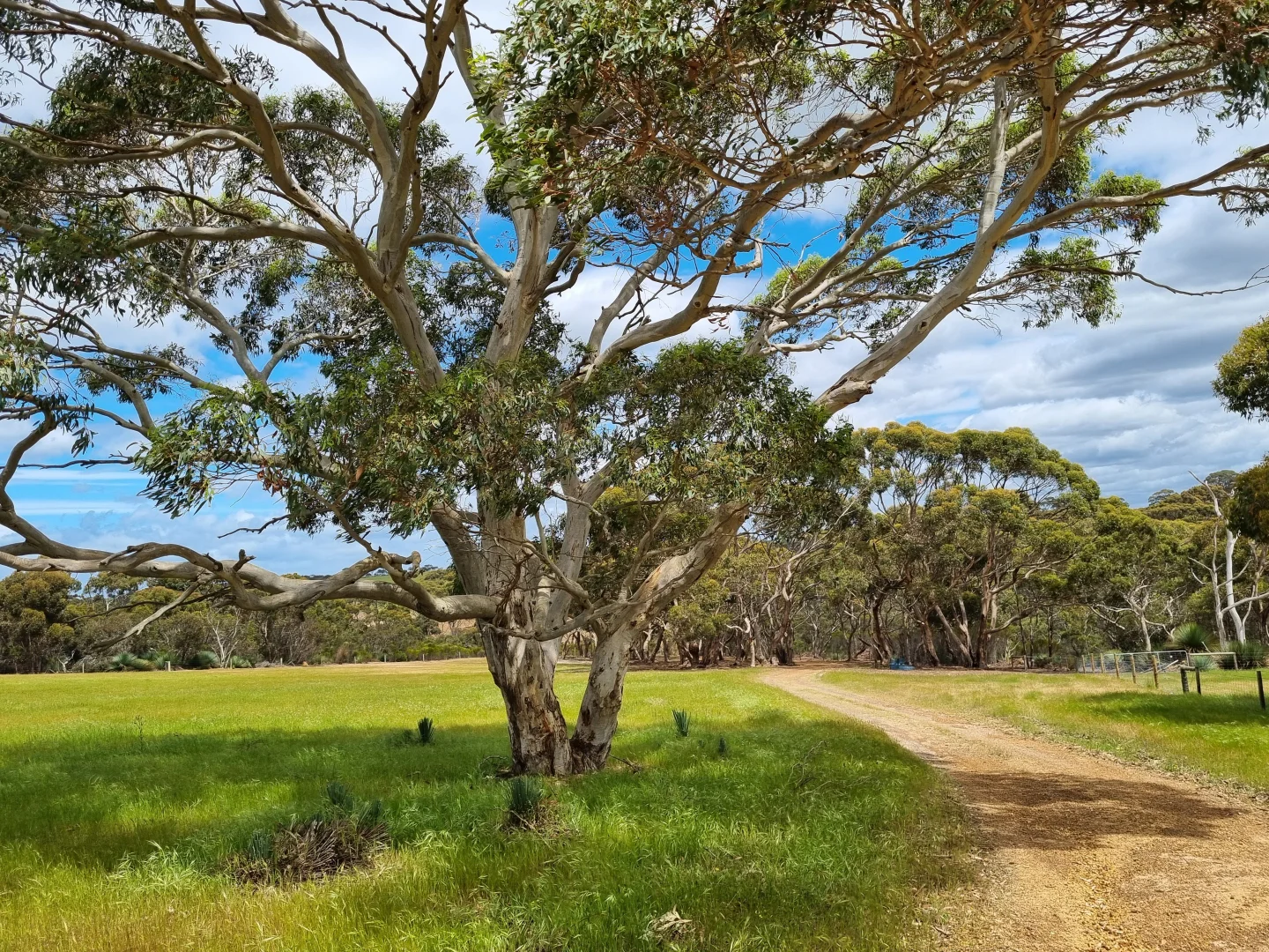 Additional image 10 of 958 Crabbs Road, Newland SA 5223