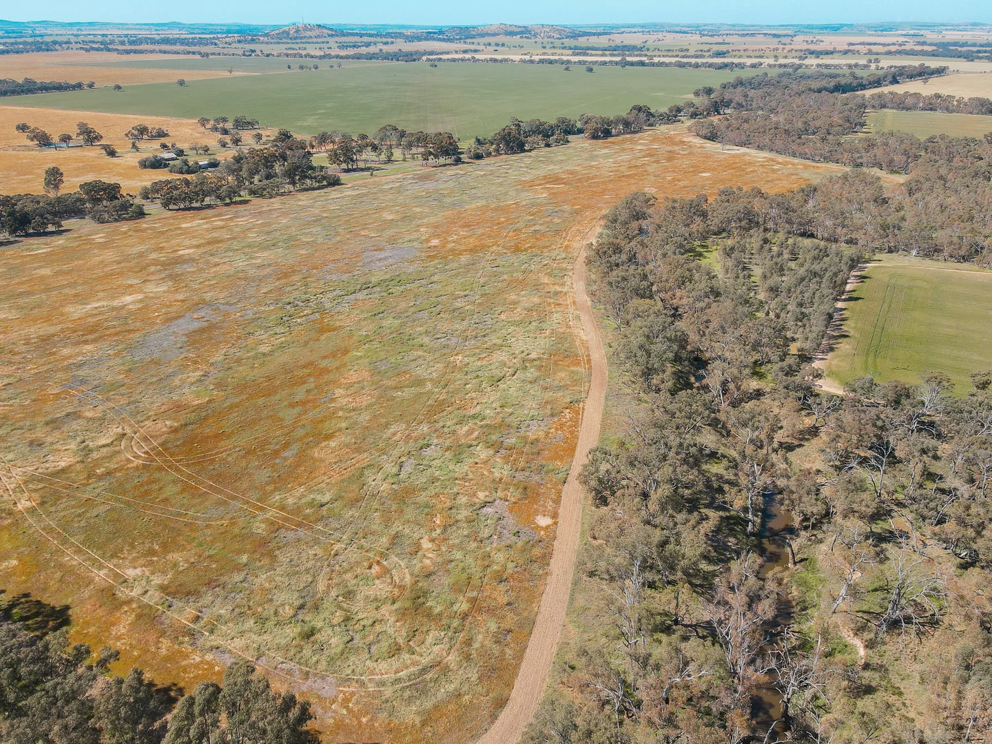 Additional image 10 of Teddywaddy VIC 3527