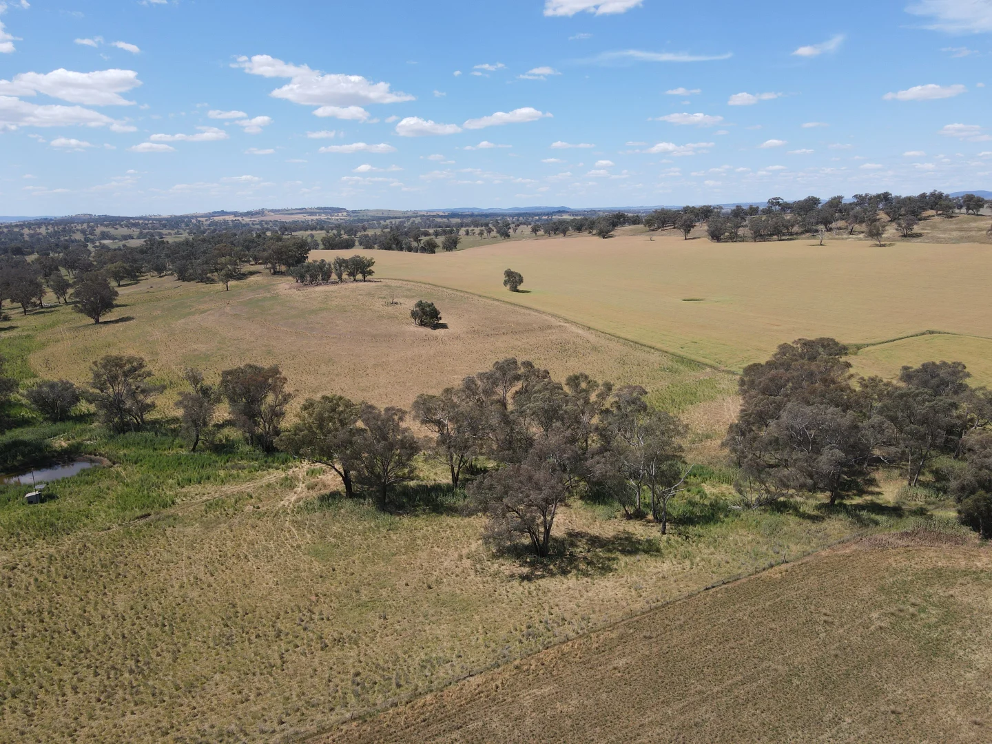 Additional image 5 of 1 Tremains Lane, Toogong NSW 2864