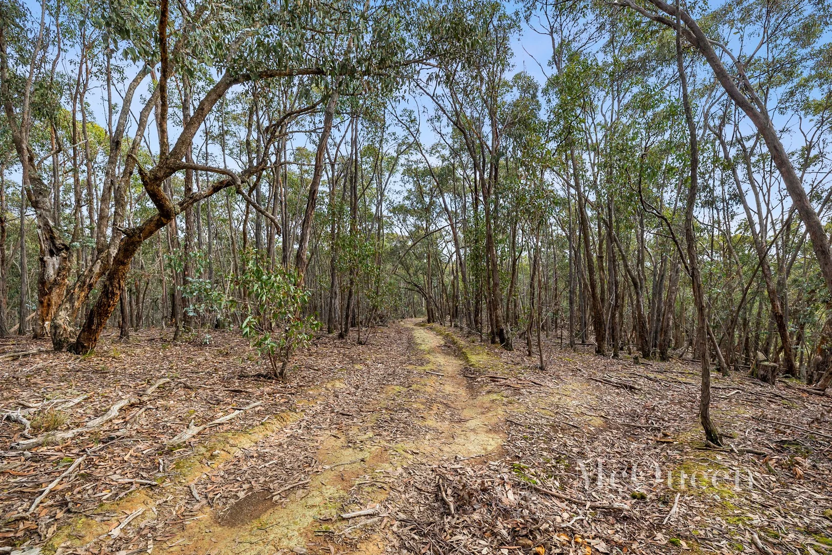 Additional image 2 of 48 Fords Road, Porcupine Ridge VIC 3461