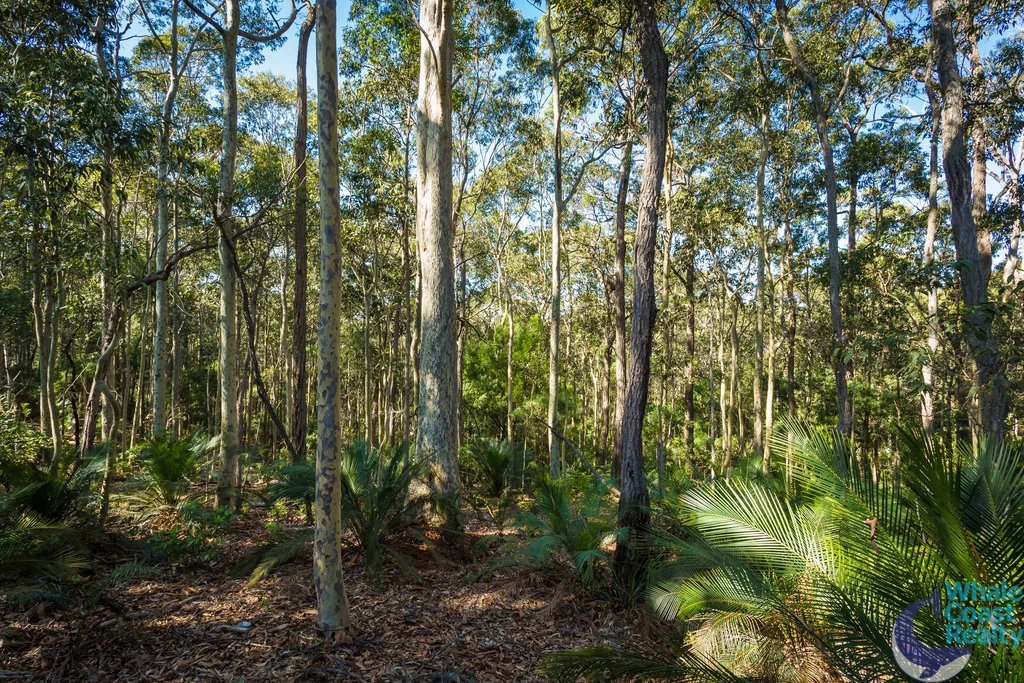 Additional image 18 of 50 Woodlands drive, Narooma NSW 2546