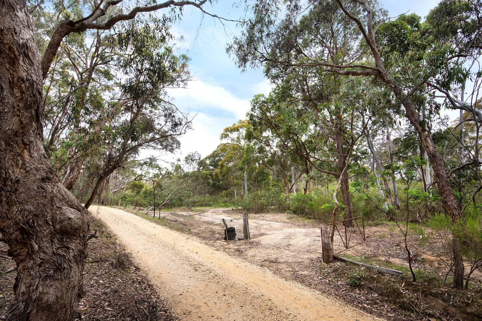 Additional image 5 of 423 White Gum Track, Fryerstown VIC 3451