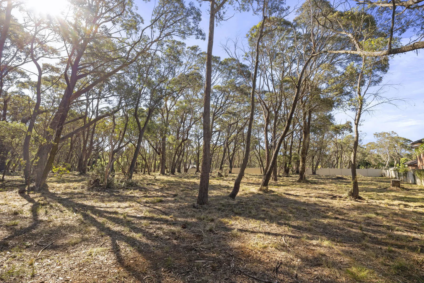 Additional image 6 of 26 Forest Park Road, Blackheath NSW 2785