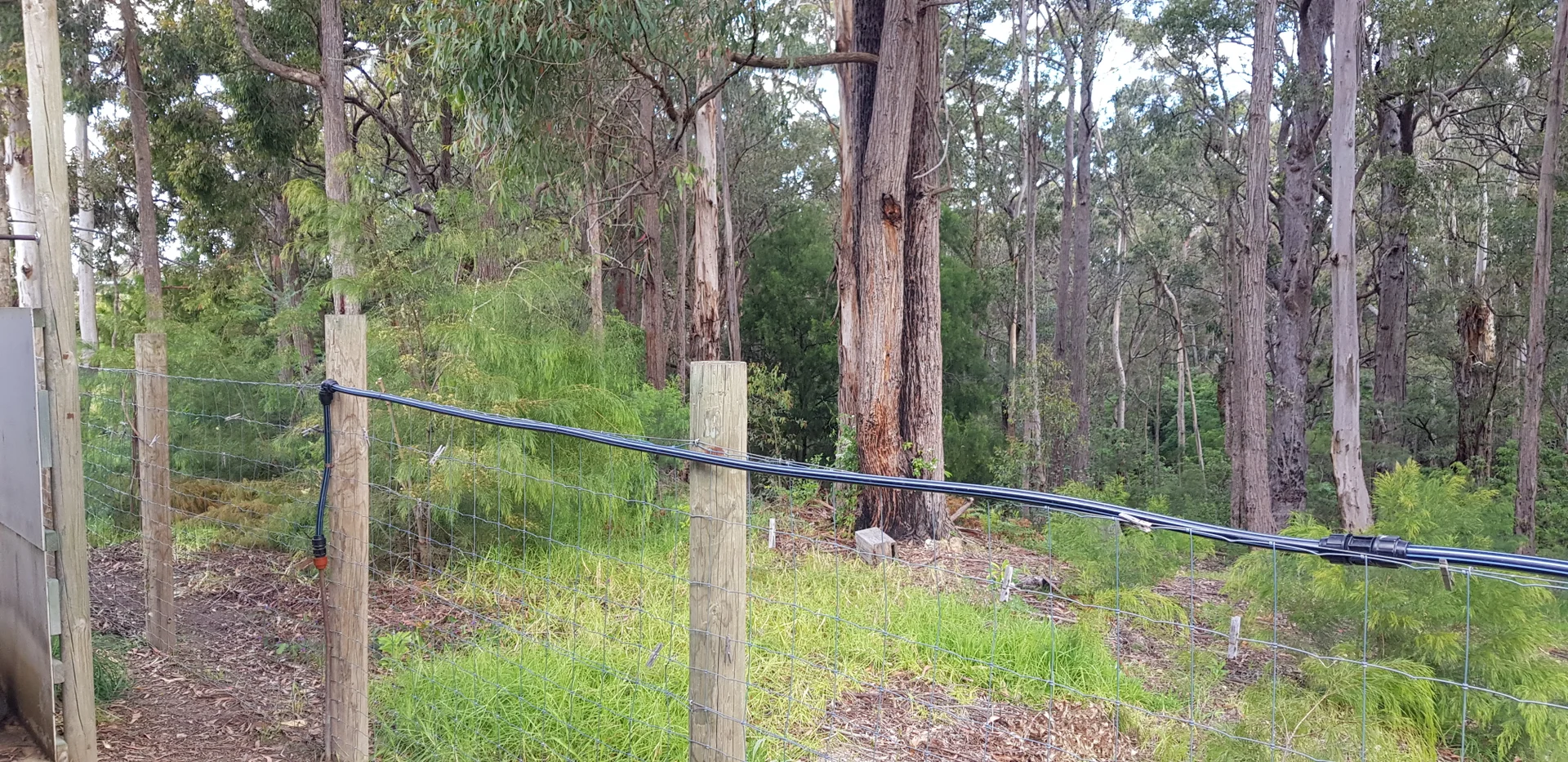 Additional image 5 of 99 Mirrabooka Road, Mallacoota VIC 3892