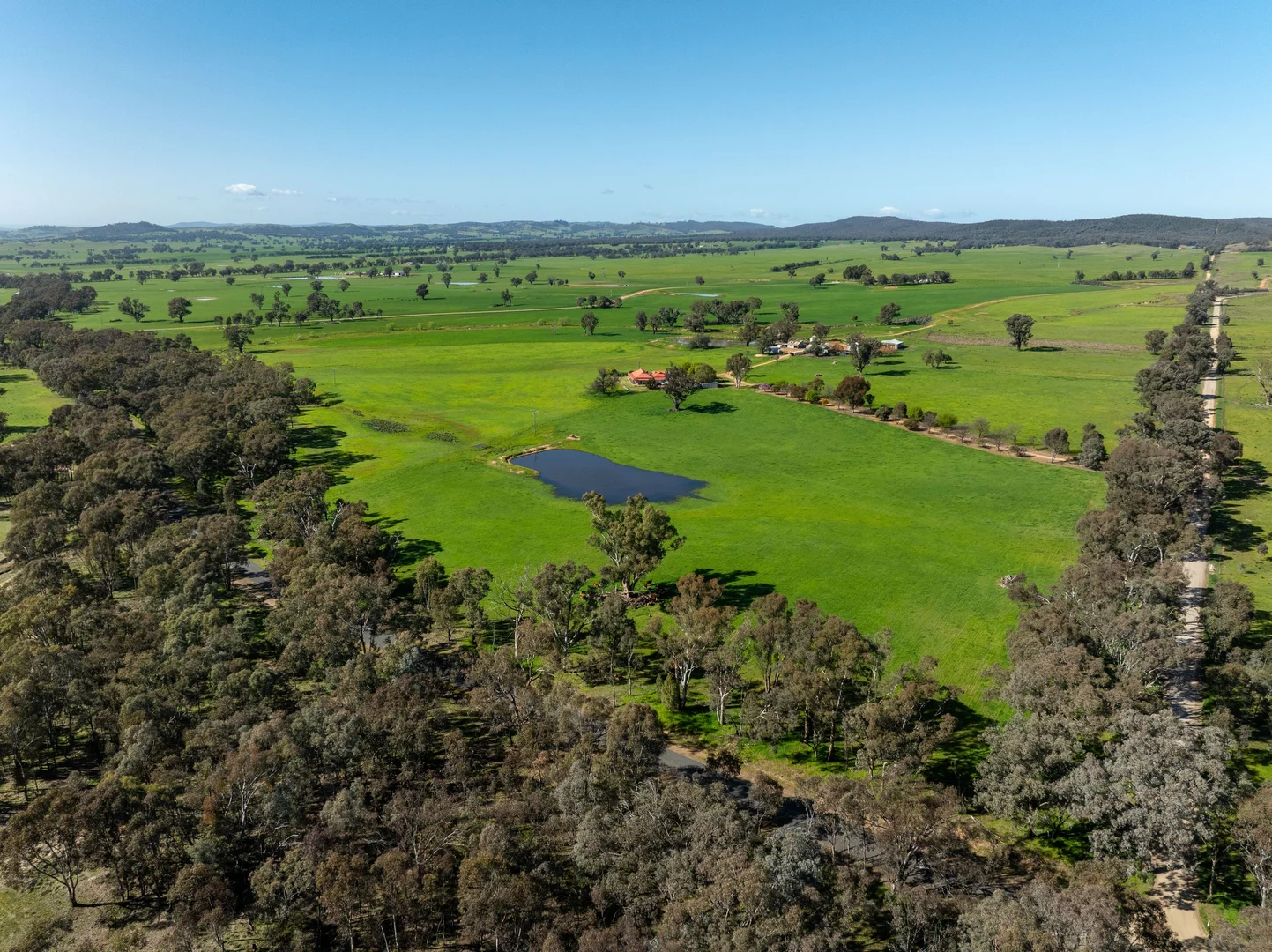 Additional image 8 of 25 Wrigleys Road, Big Springs NSW 2650