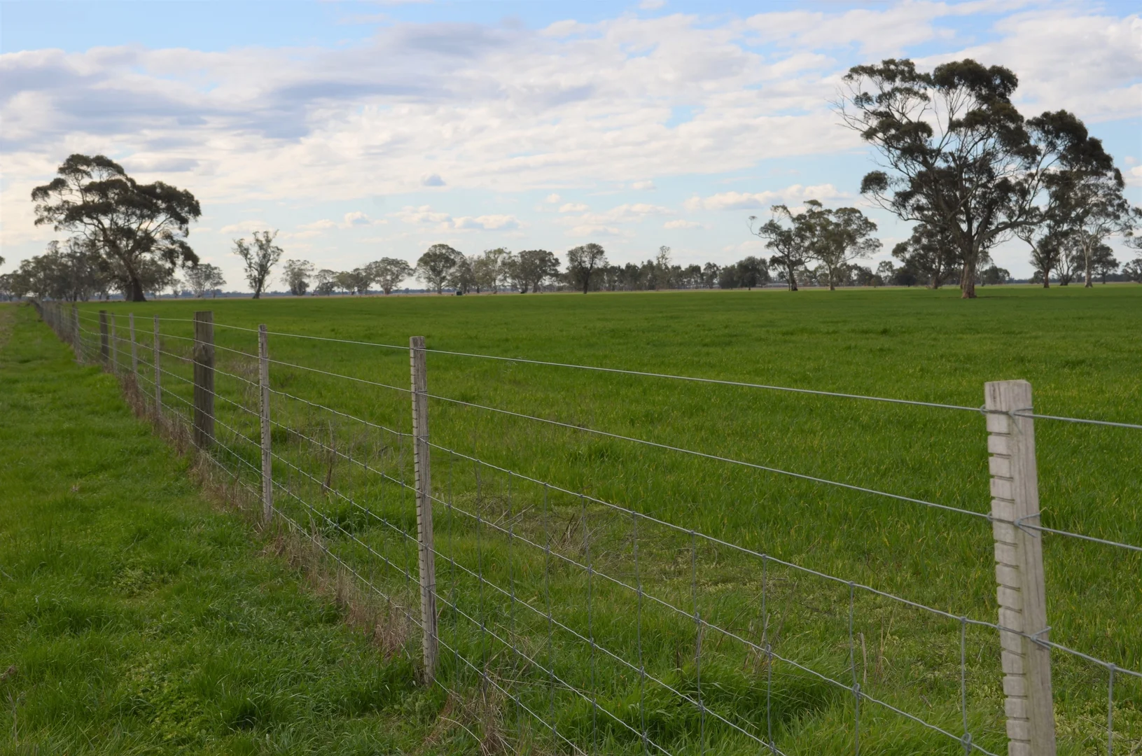 Additional image 7 of Sec 329 Tarcas Road, Frances SA 5262