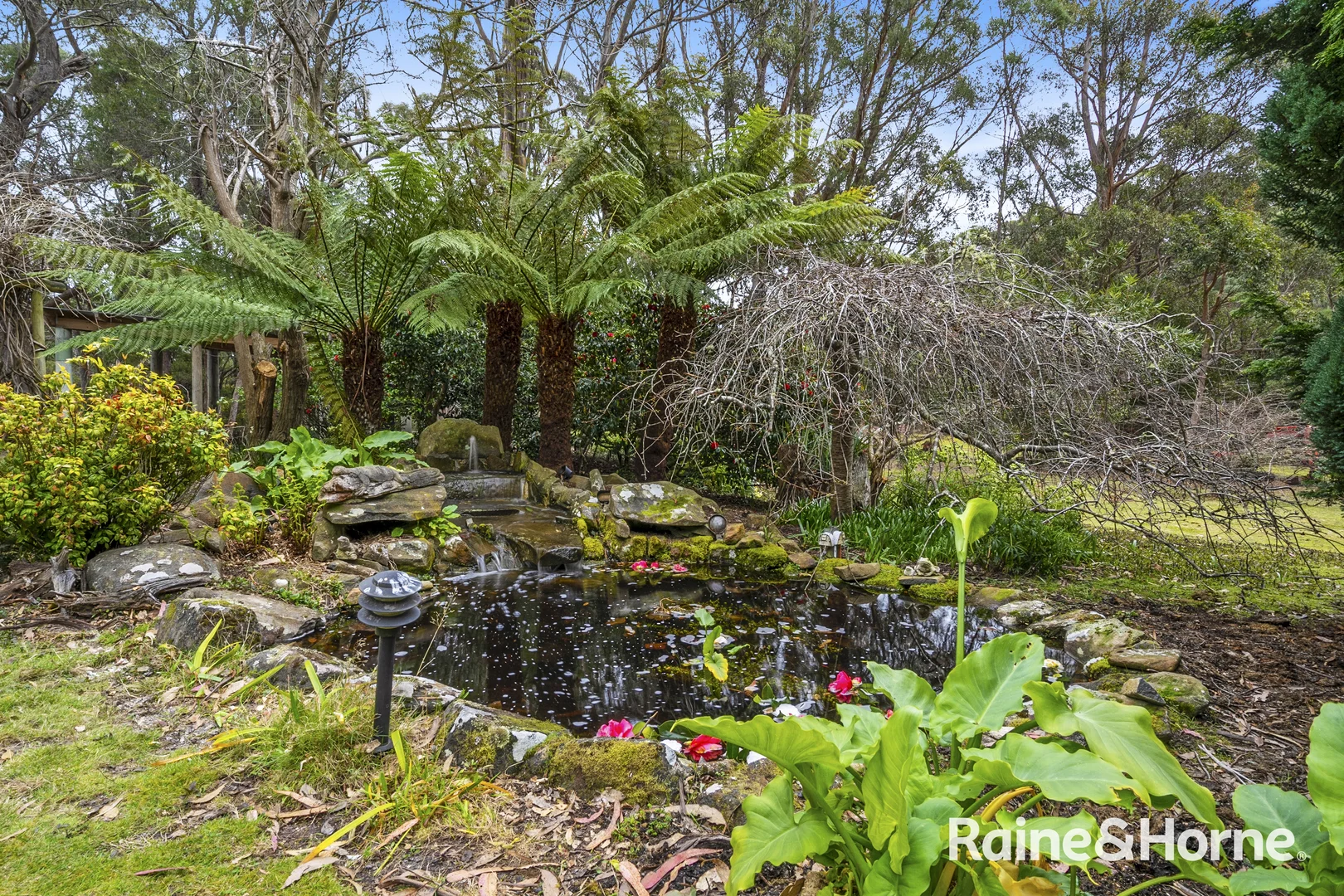 Additional image 21 of 2395 Nubeena Road, Port Arthur TAS 7182