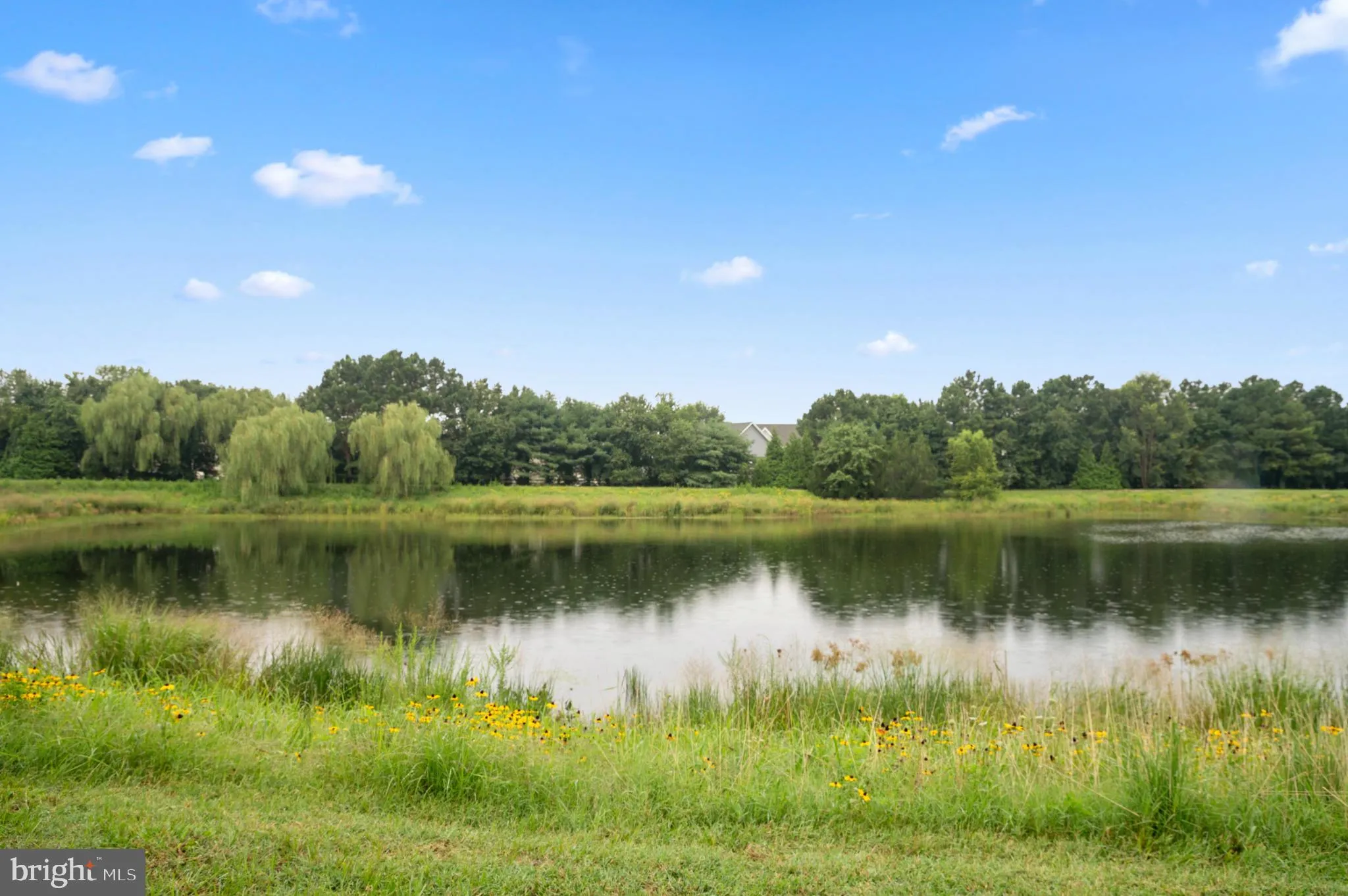 Additional image 98 of 34833 Seagrass Plantation Lane, Dagsboro, DE 19939