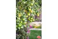 Additional image 44 of 6427 Lindenhurst Ave, Los Angeles, CA, 90048