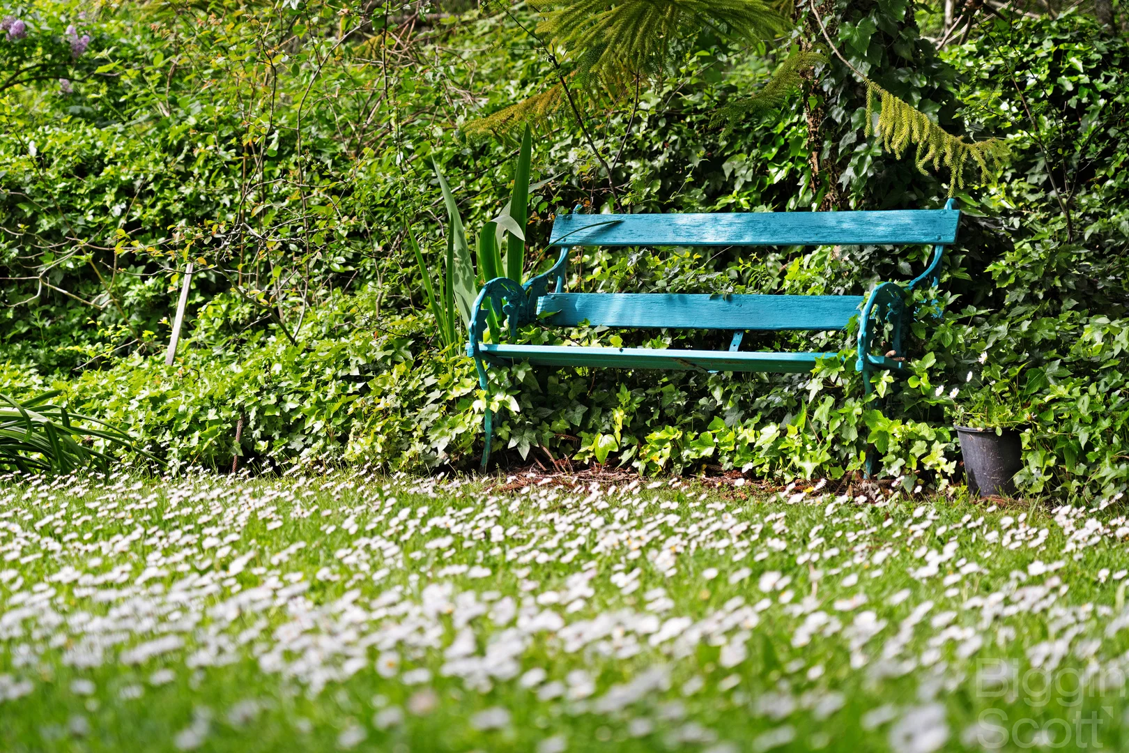 Additional image 14 of 28 Queensberry Street, Daylesford VIC 3460