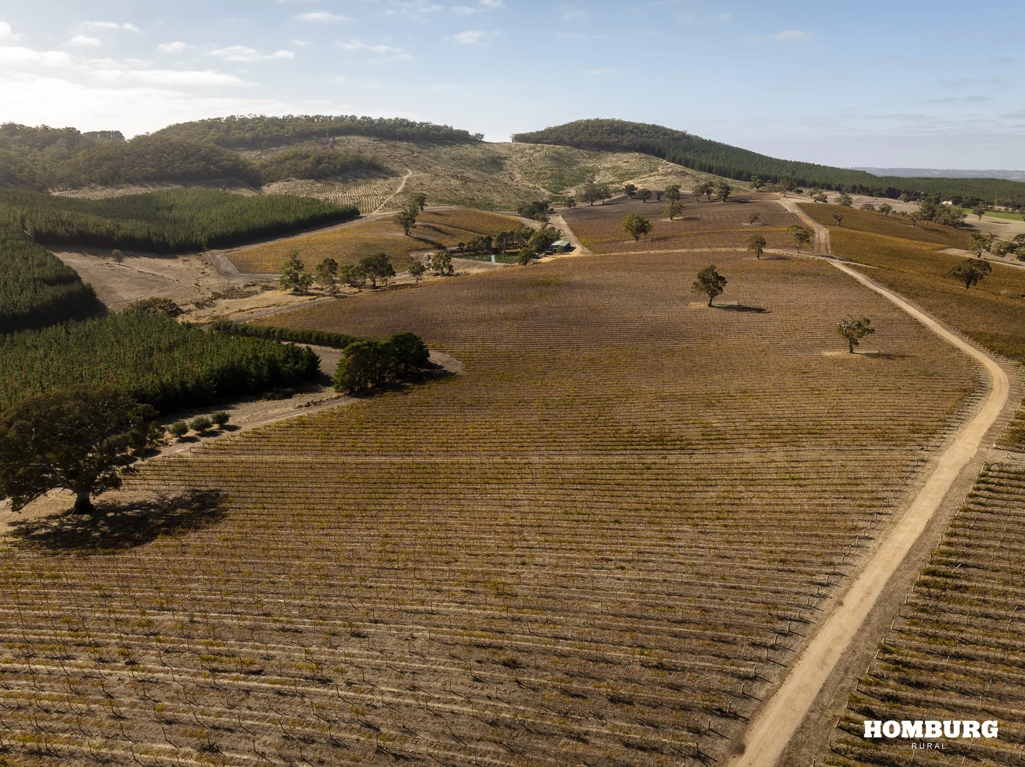 Additional image 6 of 453 Springton Road, Pewsey Vale SA 5351