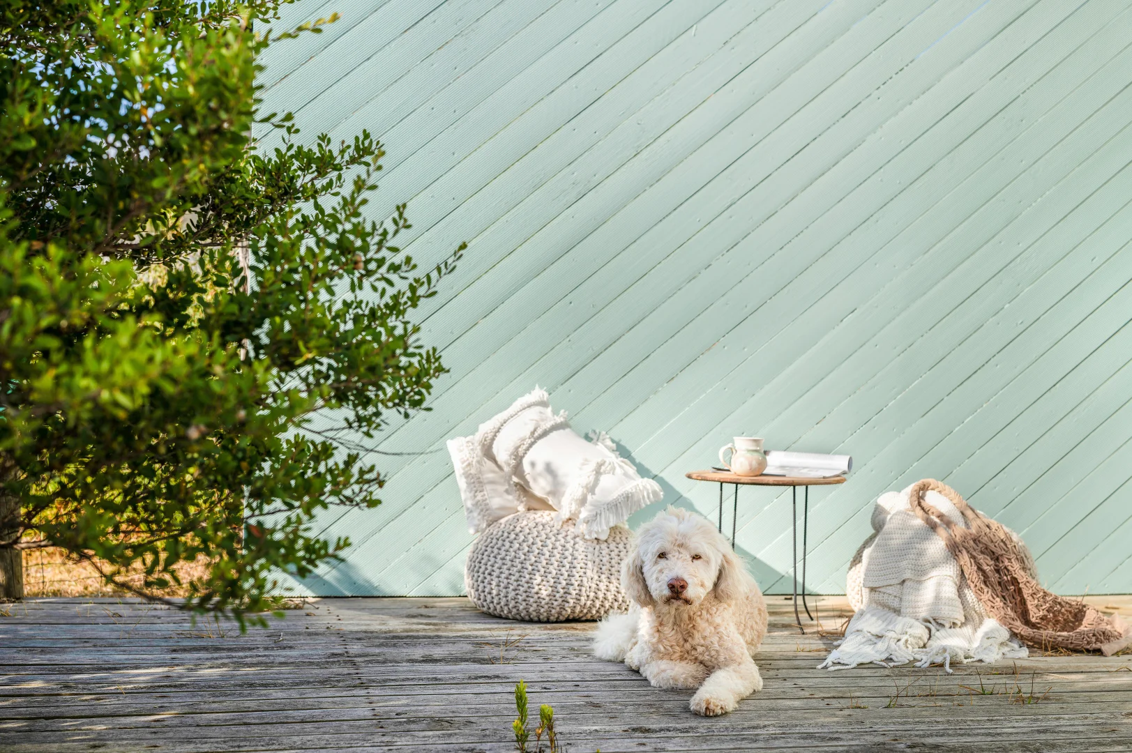 Additional image 19 of 35 Gardiner Street, Arthur River TAS 7330