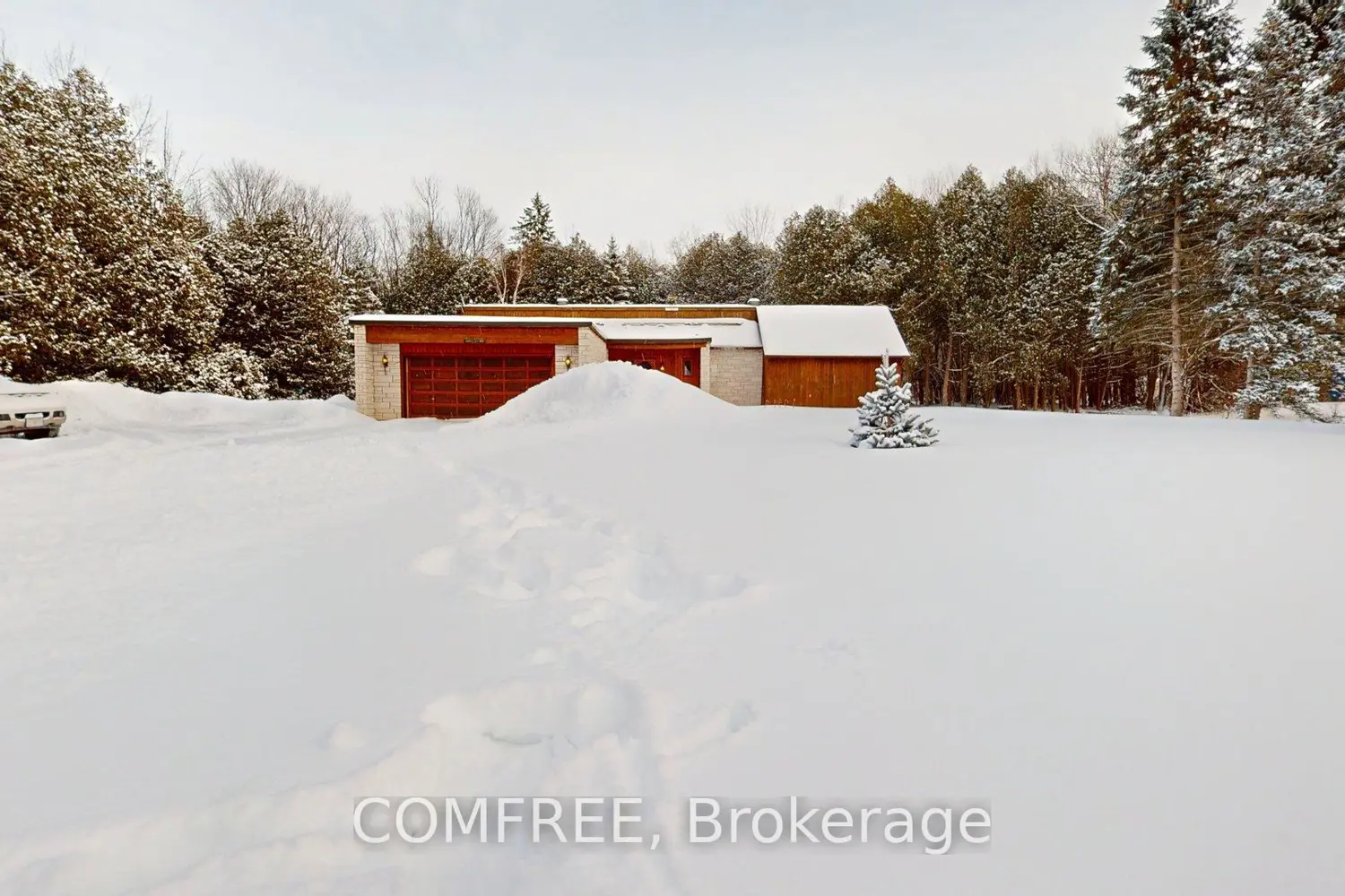 11954 Forest Hill Road