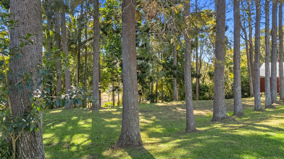 Additional image 2 of 135 Yabba Road, Imbil QLD 4570