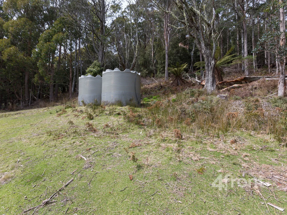 Additional image 8 of 1 and 2/141 Tiers View Road, Golden Valley TAS 7304