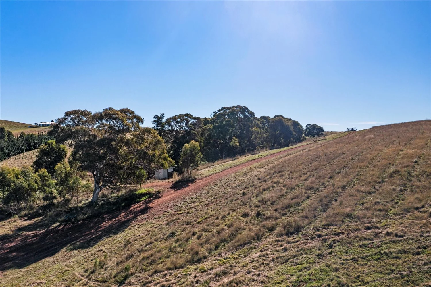 Additional image 55 of 134 Lakeview Road, Tarago NSW 2580