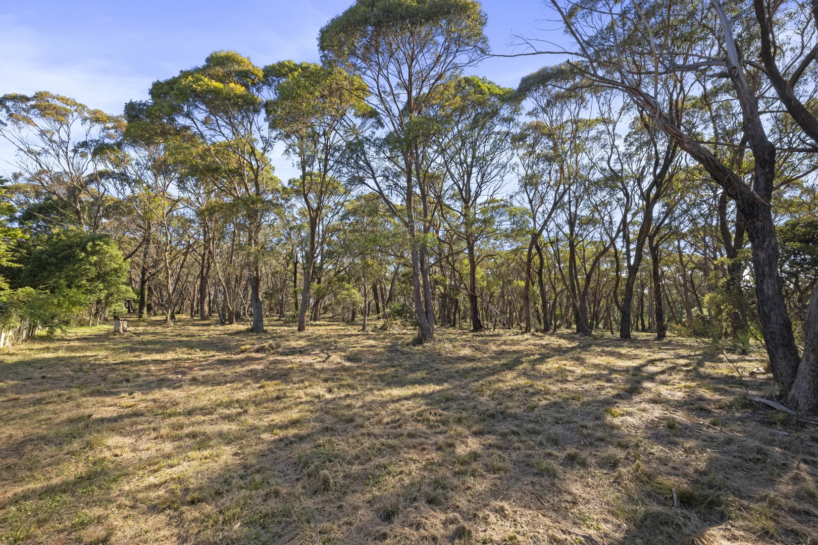 Additional image 7 of 26 Forest Park Road, Blackheath NSW 2785