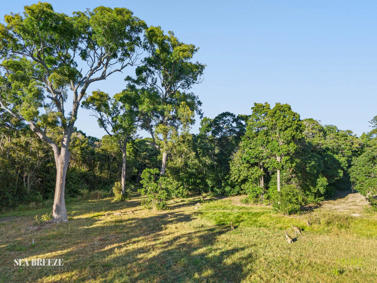 Additional image 8 of 33 Hummock View Drive, Craignish QLD 4655