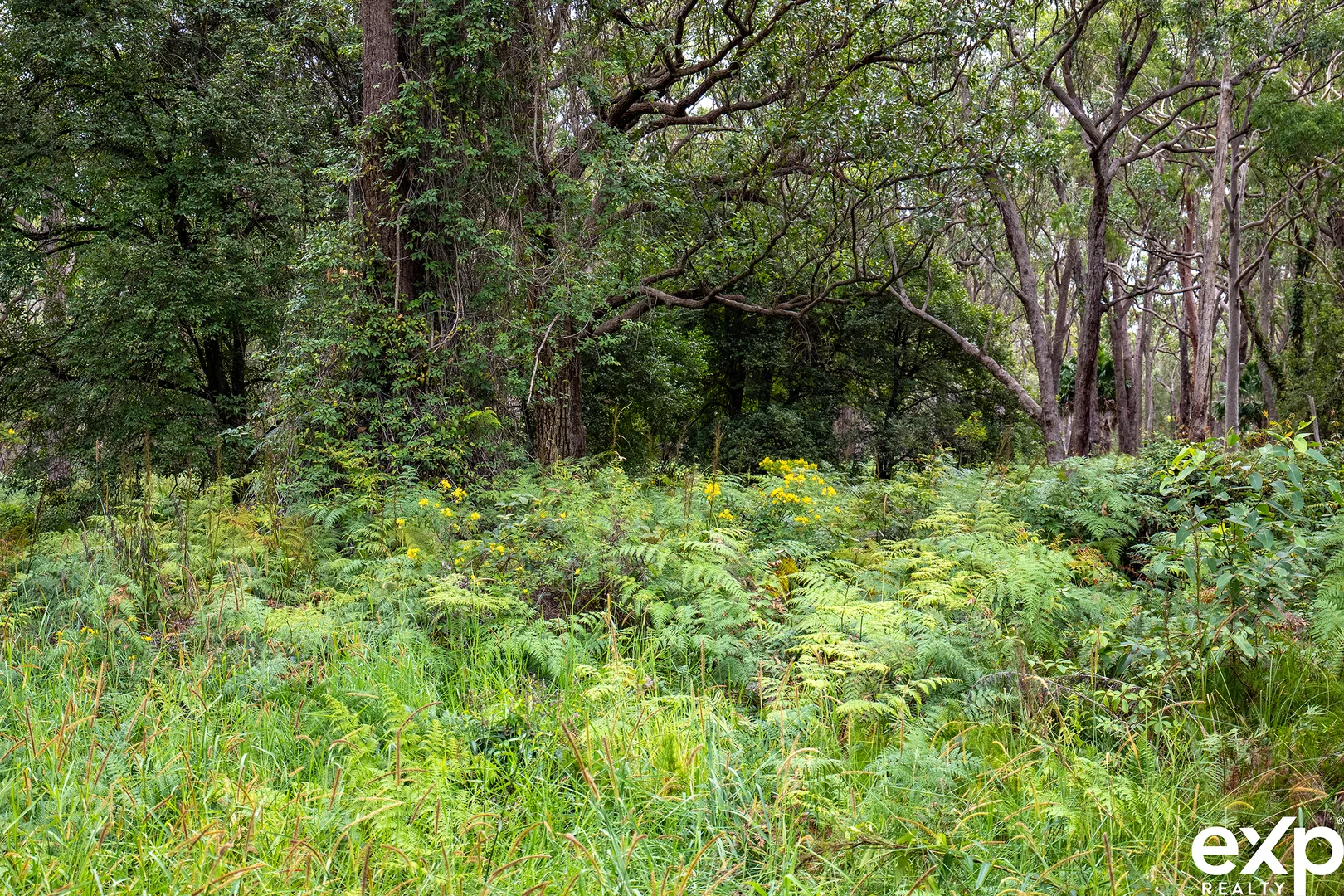 Additional image 6 of 9-13 Koree Street, Pindimar NSW 2324