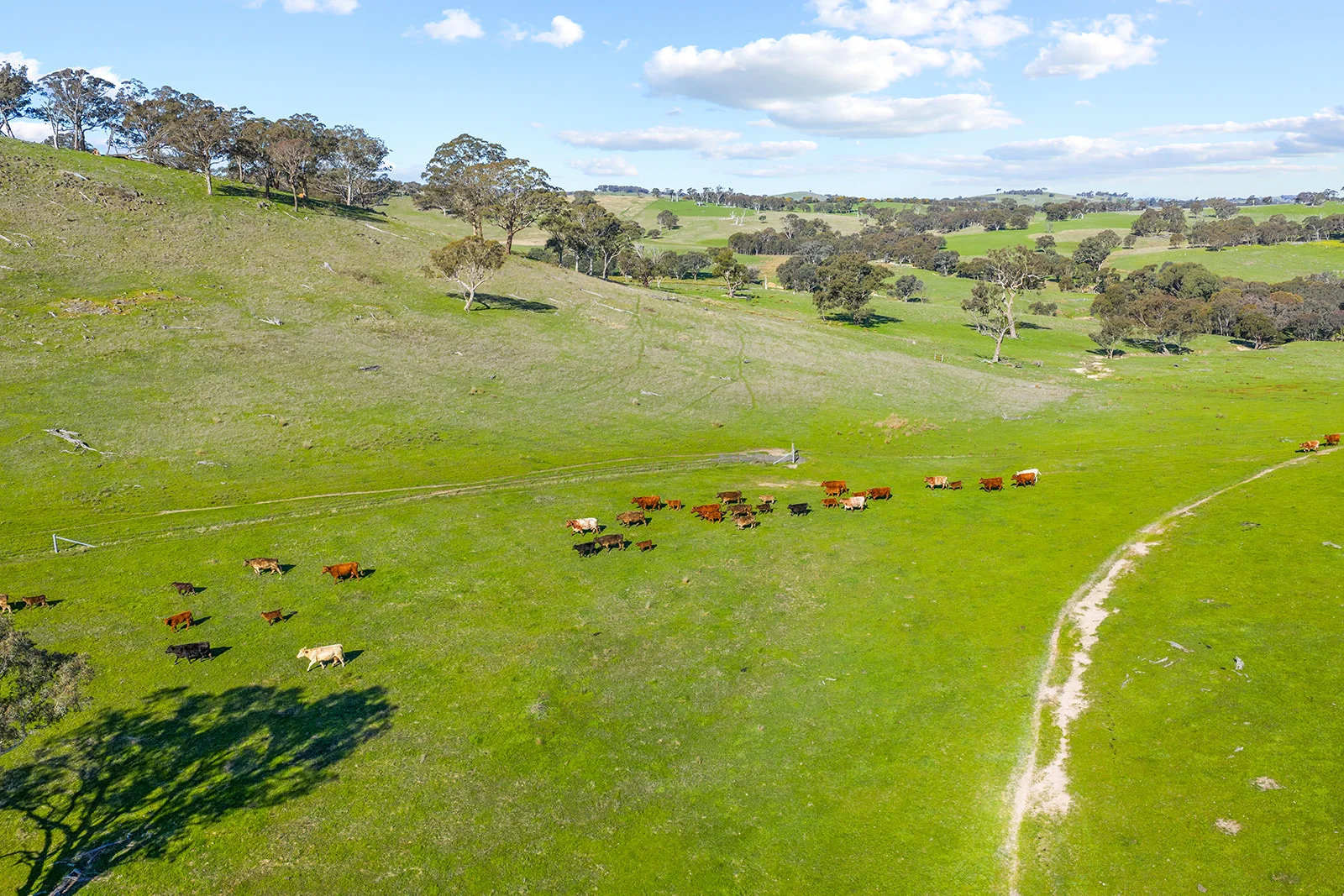 Additional image 15 of 1432 Lachlan Valley Way, Laverstock NSW 2582