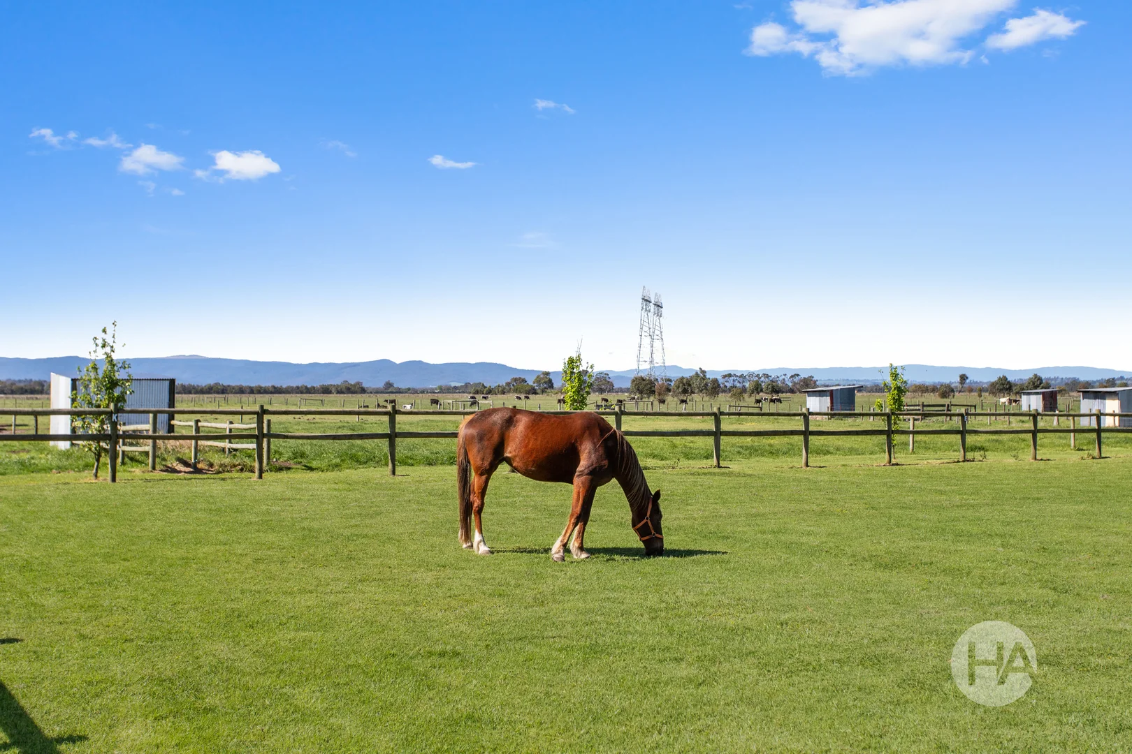 Additional image 19 of 245 Parish Road, Iona VIC 3815