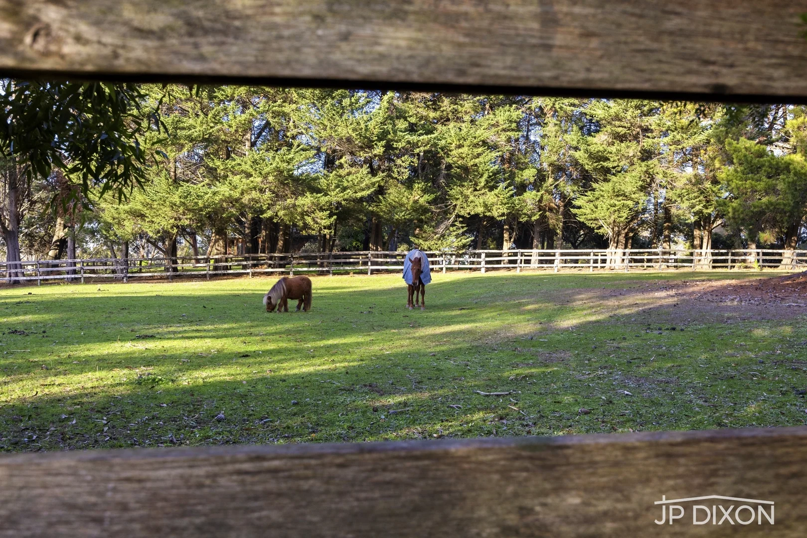 Additional image 15 of 74 Graydens Road, Tyabb VIC 3913