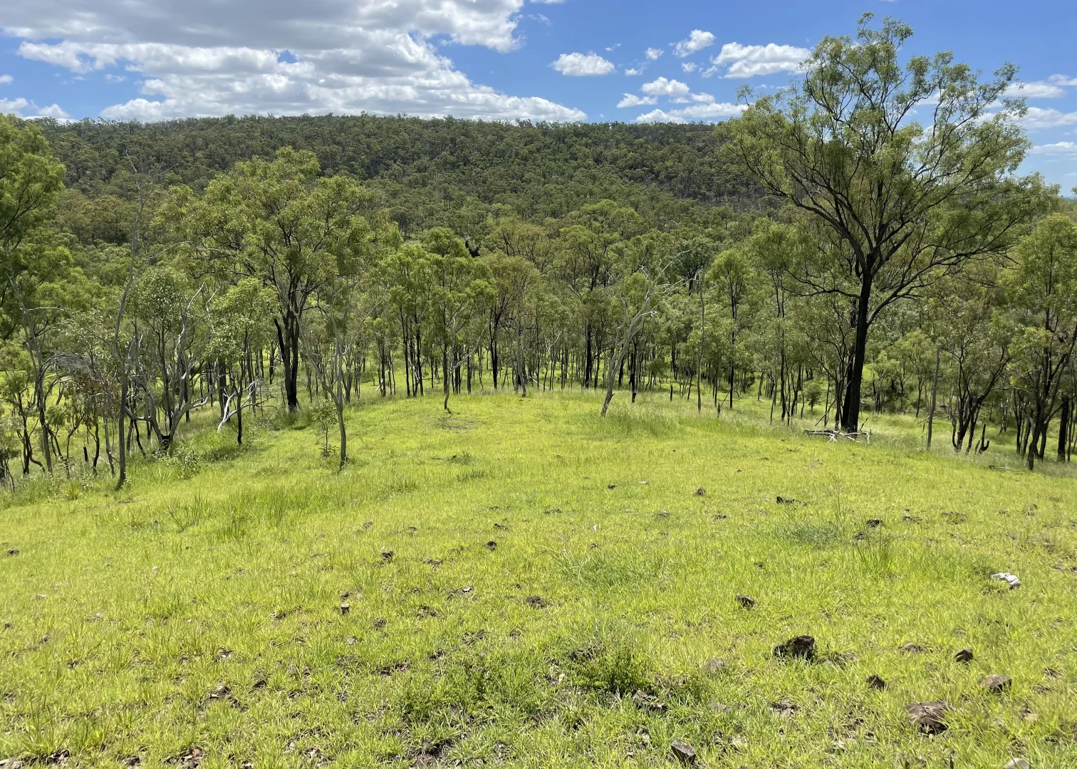 Additional image 10 of L52 Campbell Creek Road, Campbell Creek, Gayndah QLD 4625