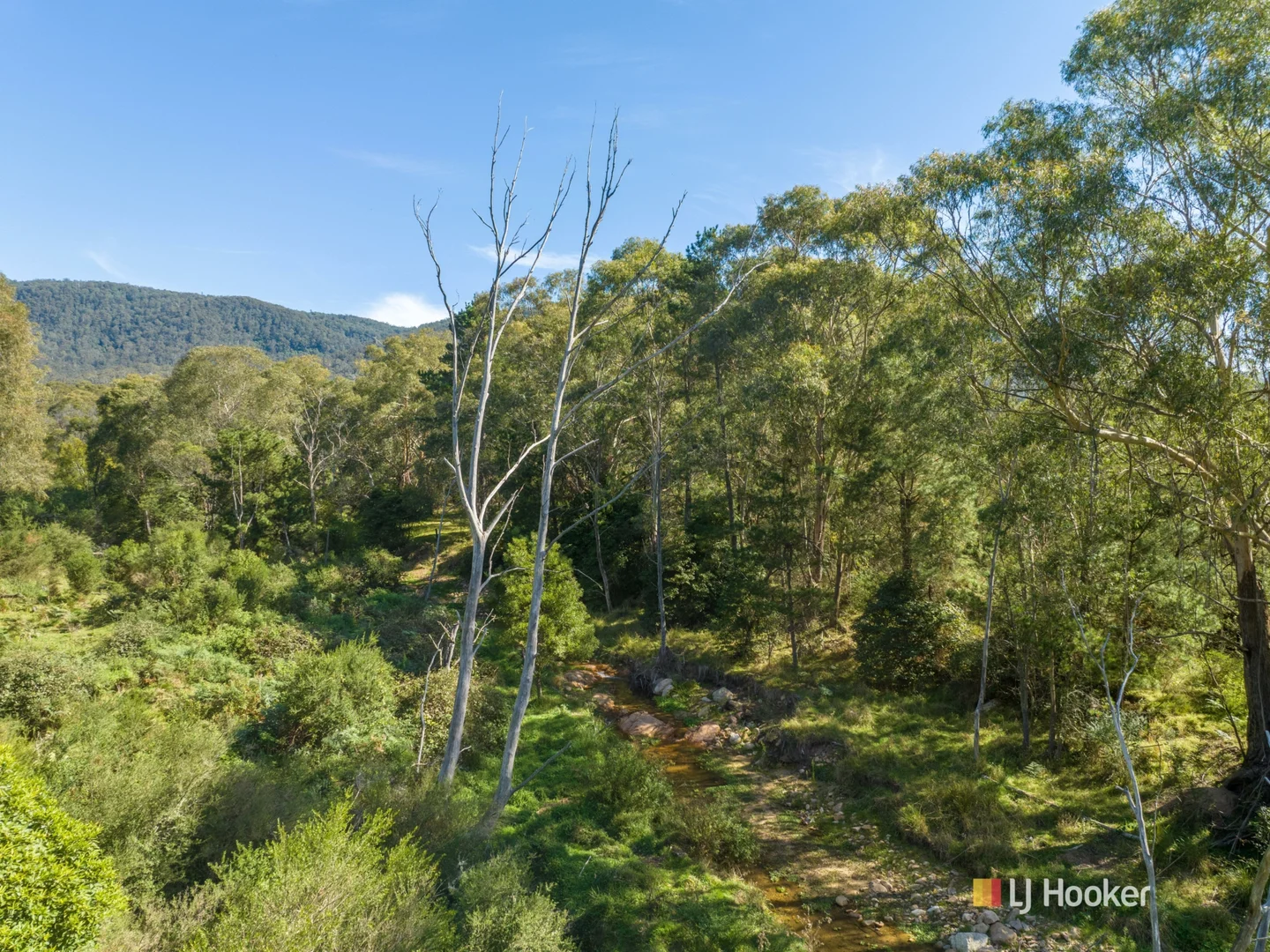 Additional image 3 of 1086 Furners Road, Bemboka NSW 2550