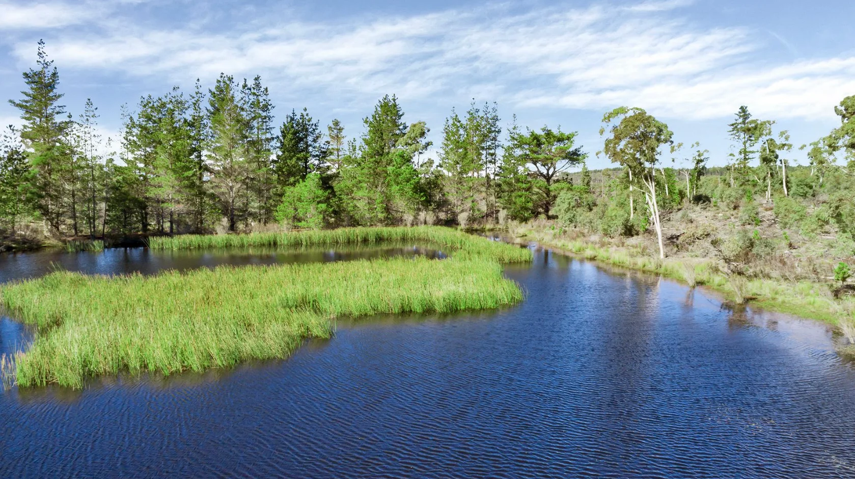 464 Tally Ho, Braidwood NSW 2622