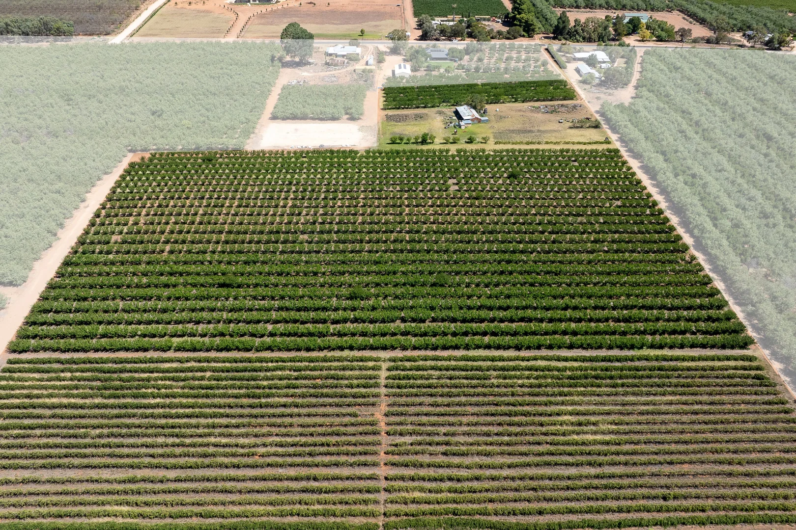 Additional image 6 of Lot 54 Newton Road, Loxton SA 5333